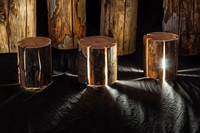 Vom Baumstumpf zur Lampe x Duncan Meerding 4