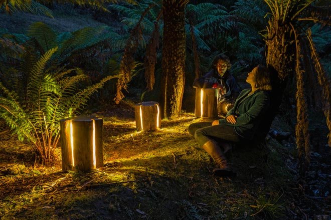 Vom Baumstumpf zur Lampe x Duncan Meerding 5