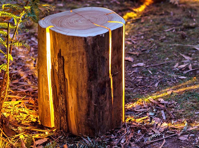 Vom Baumstumpf zur Lampe x Duncan Meerding 6