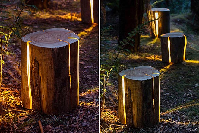 Vom Baumstumpf zur Lampe x Duncan Meerding 1