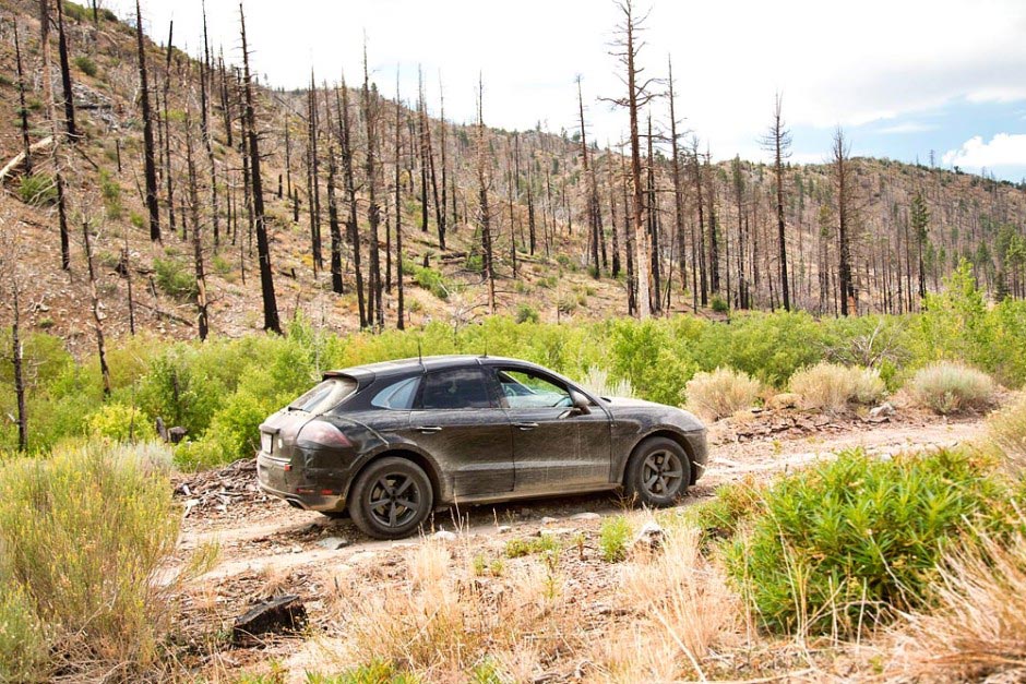 The brand new Porsce SUV: Macan 8