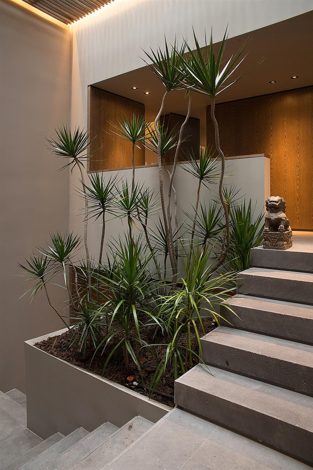 The Barranca House in Mexico City 18