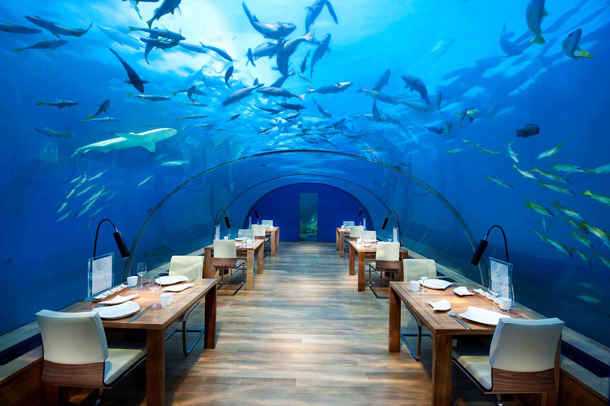 Unterwasser Restaurant x Malediven x Rangali Island 2