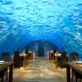 Unterwasser Restaurant x Malediven x Rangali Island