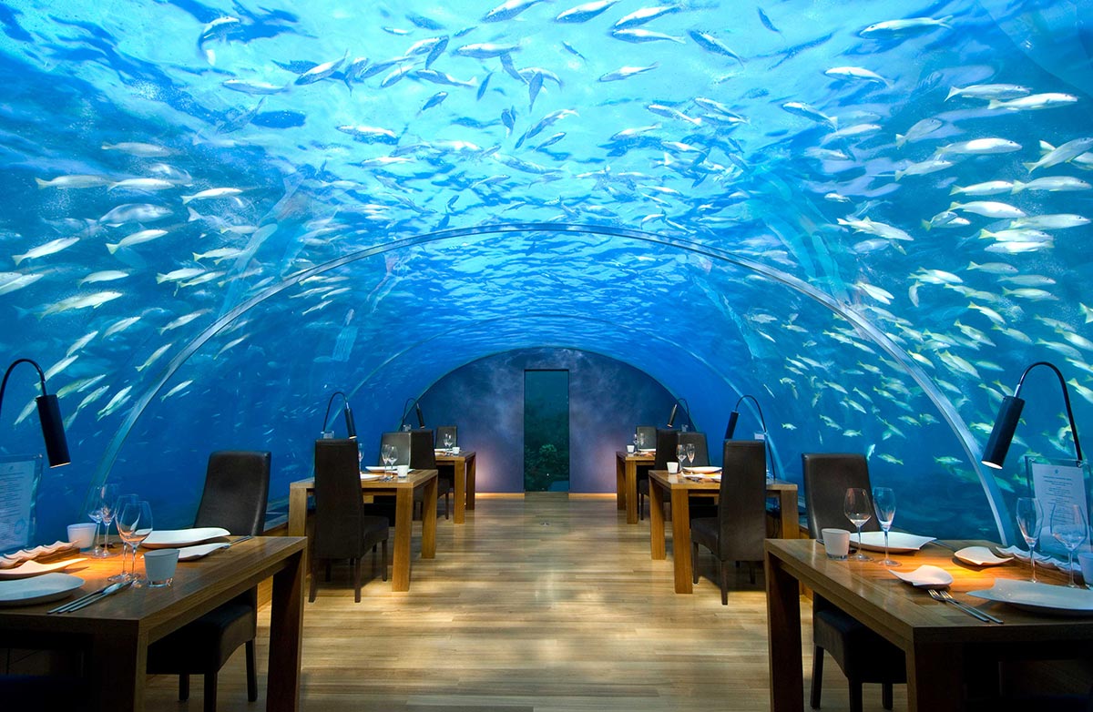Unterwasser Restaurant x Malediven x Rangali Island 1