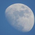 Nikon COOLPIX P900 unglaublicher optischer 83-fach Zoom