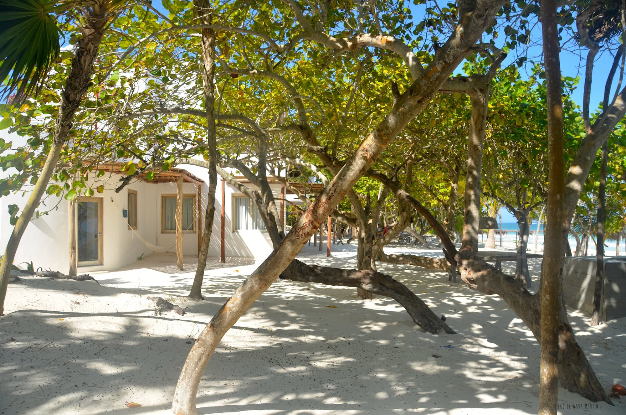Casa Malca, Mexico 10