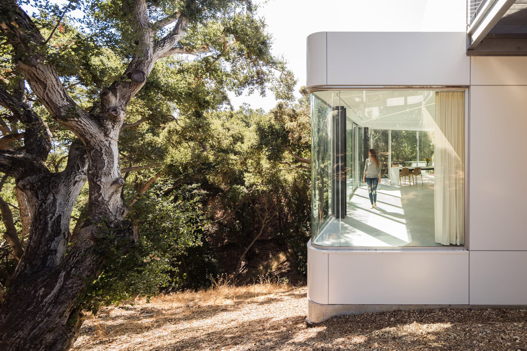Licht ist Leben: Pam & Paul’s House  by Craig Steely Architecture 10