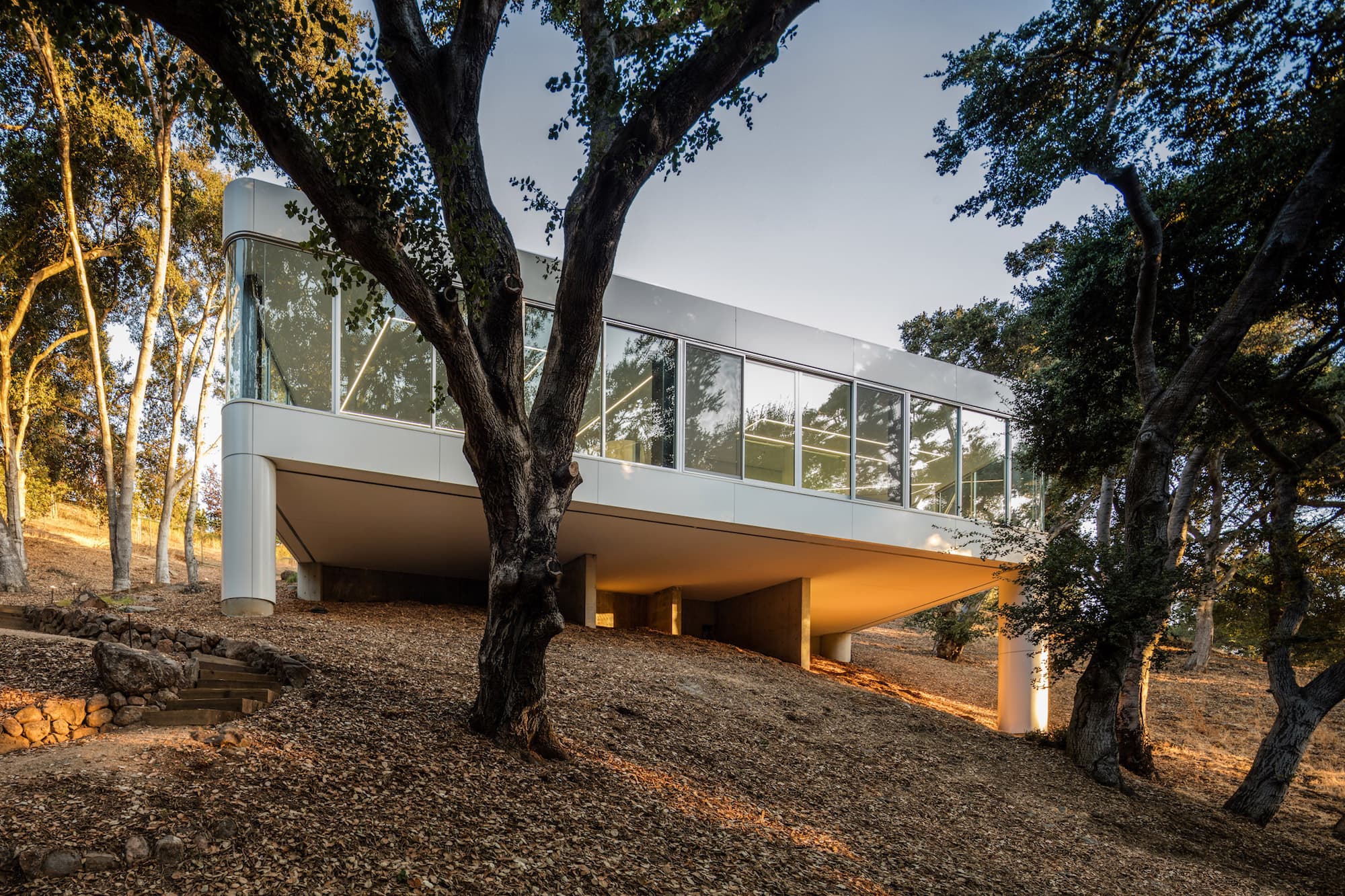Licht ist Leben: Pam & Paul’s House  by Craig Steely Architecture 11