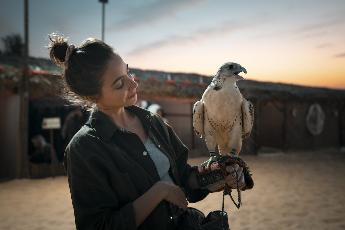 Falcon Lens Award: Das Finale des größten Video-Wettbewerbes der Welt in Abu Dhabi 12