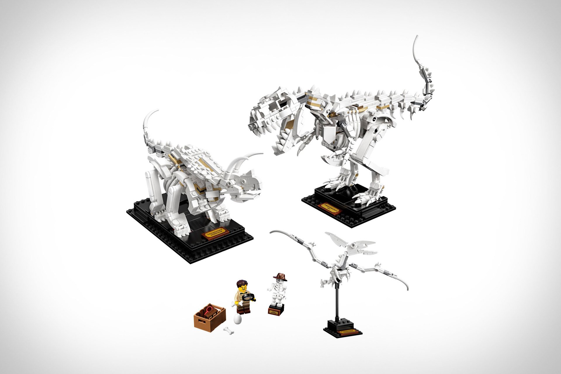 Das LEGO Dinosaurier Sammlerset für große Kinder